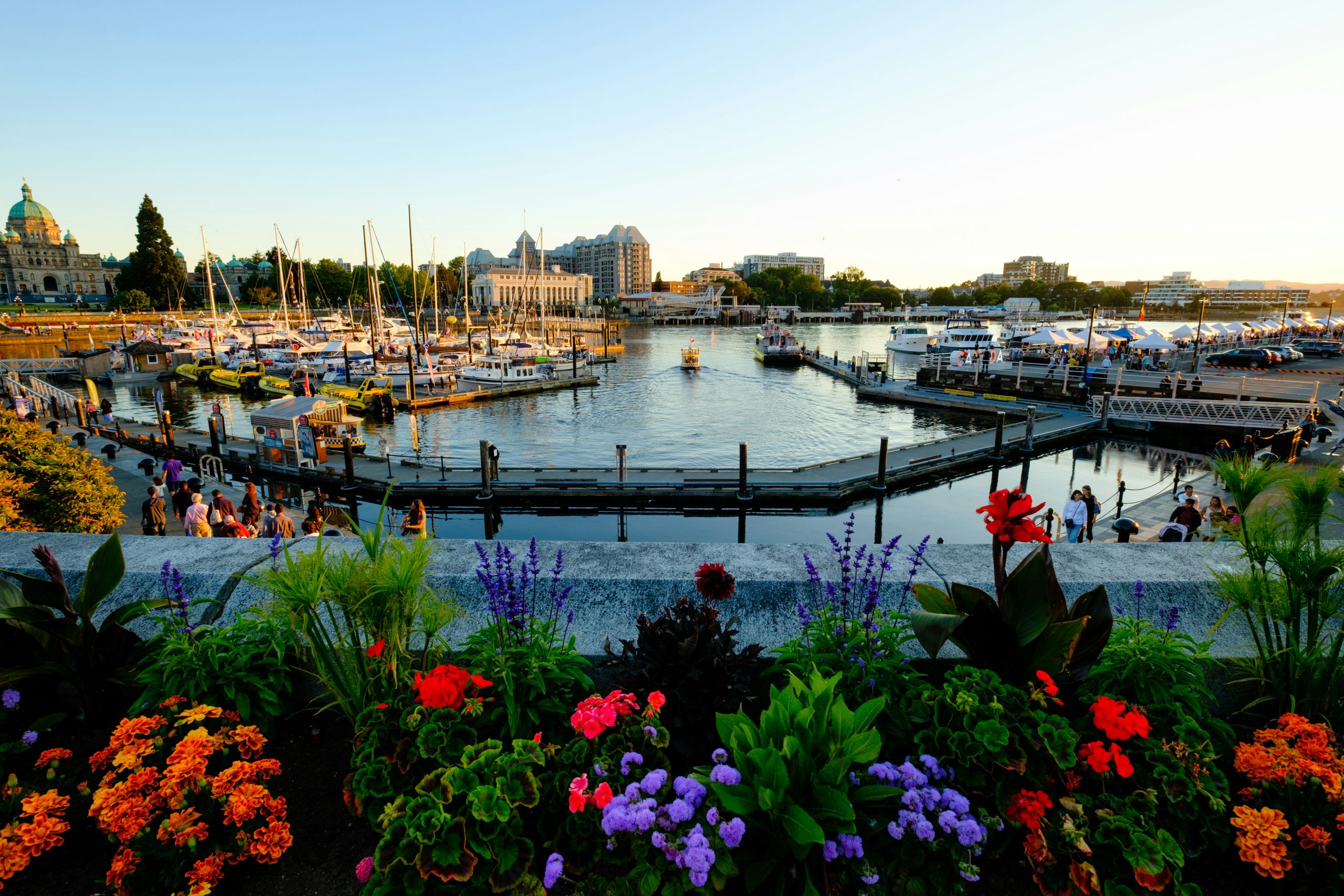 Victoria Circularity Destination Greater Victoria Circular Economy Strategy - Synergy Foundation